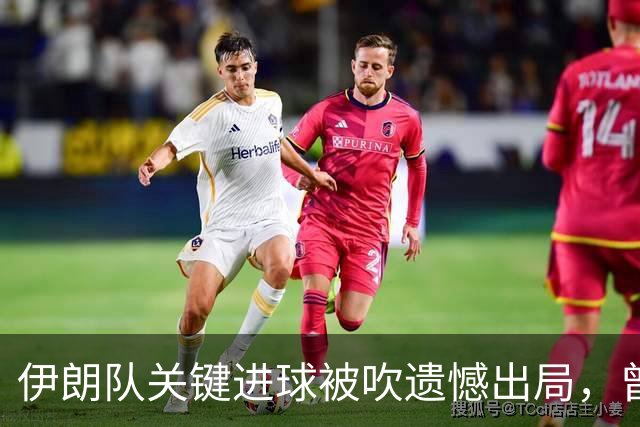 伊朗队关键进球被吹遗憾出局，曾任教哈佛大学的伊朗学者向FIFA索赔10亿美元
